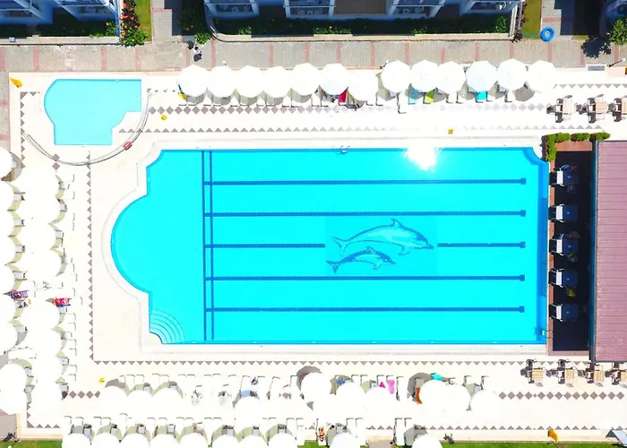 Belcekum オルデニズ