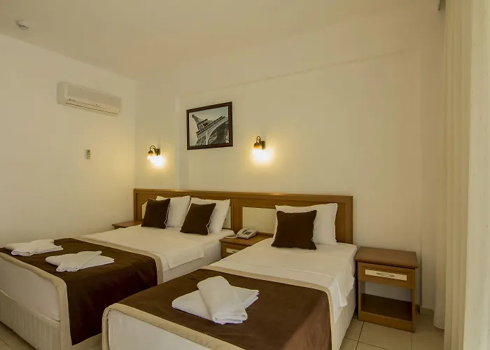 Belcekum オルデニズ