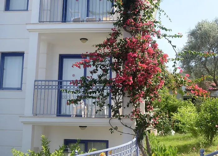 ホテル Belcekum 4*