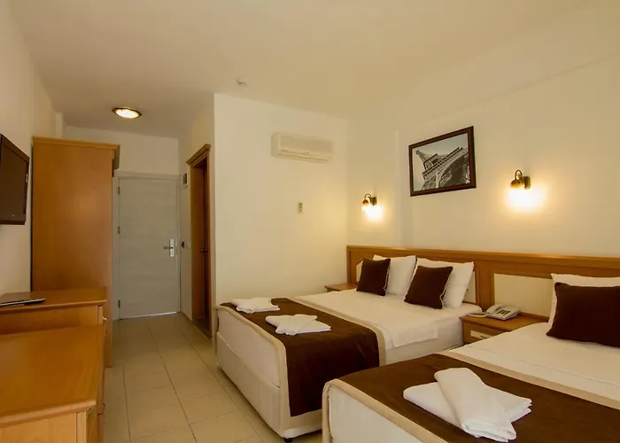 Belcekum オルデニズ